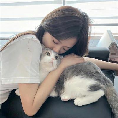 鲸鱼之友